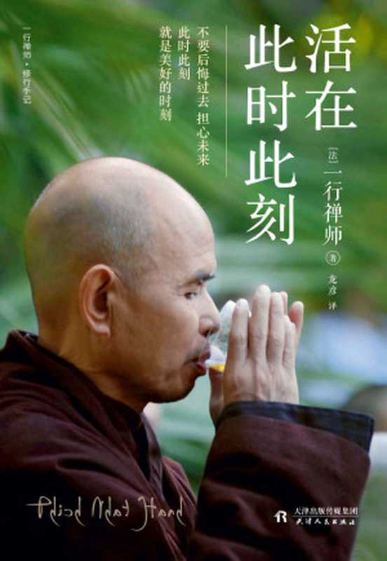 活在此时此刻（一本教你活出生命意义的灵性之书！赖声川、梁文道、张德芬、奥普拉推崇的佛教宗教大师）（一行禅师）（天王星出版社_822018）