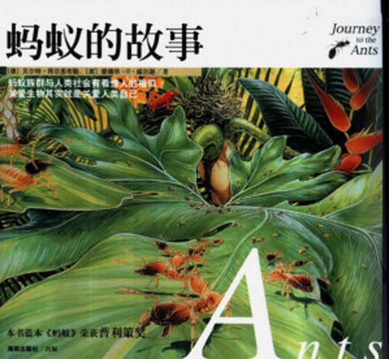 蚂蚁的故事科学探索见闻录JourneytotheAnts(HolldoblerBert·荷尔多布勒荷尔多布勒WilsonEdwardOsbo...)(2003)