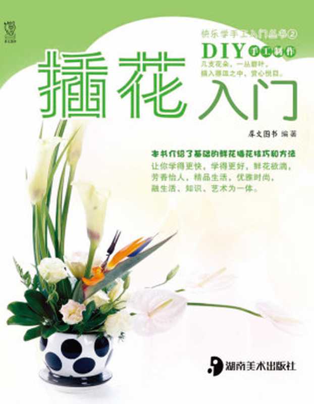 插花入门(快乐学手工入门丛书·第2辑)（犀文图书）（湖南美术出版社2011）