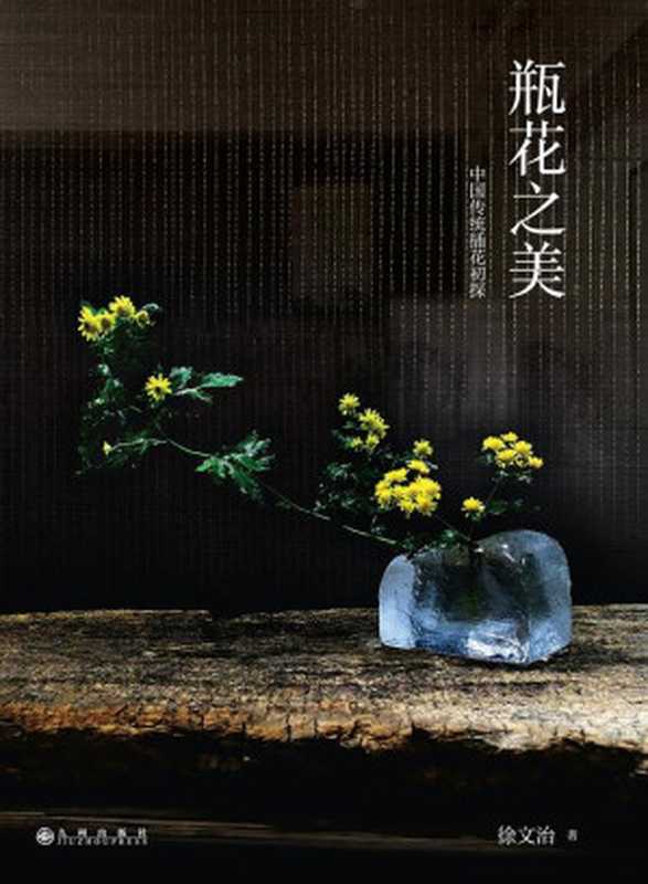 瓶花之美（徐文治）（九州出版社2017）