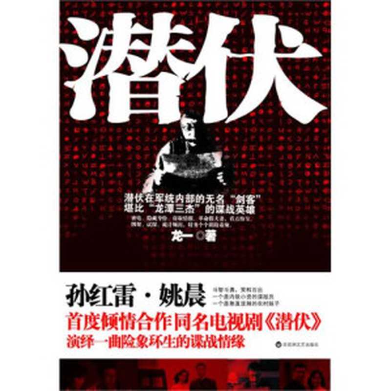 潜伏(龙一)(2010)