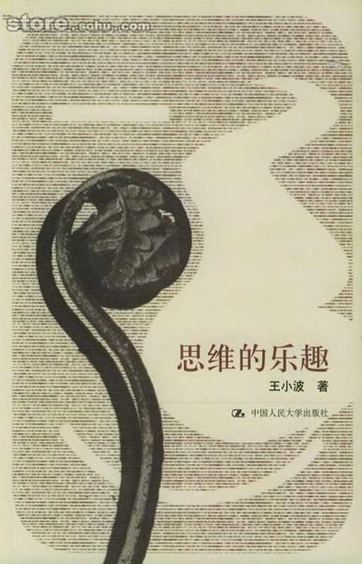 思维的乐趣(王小波)(2010)