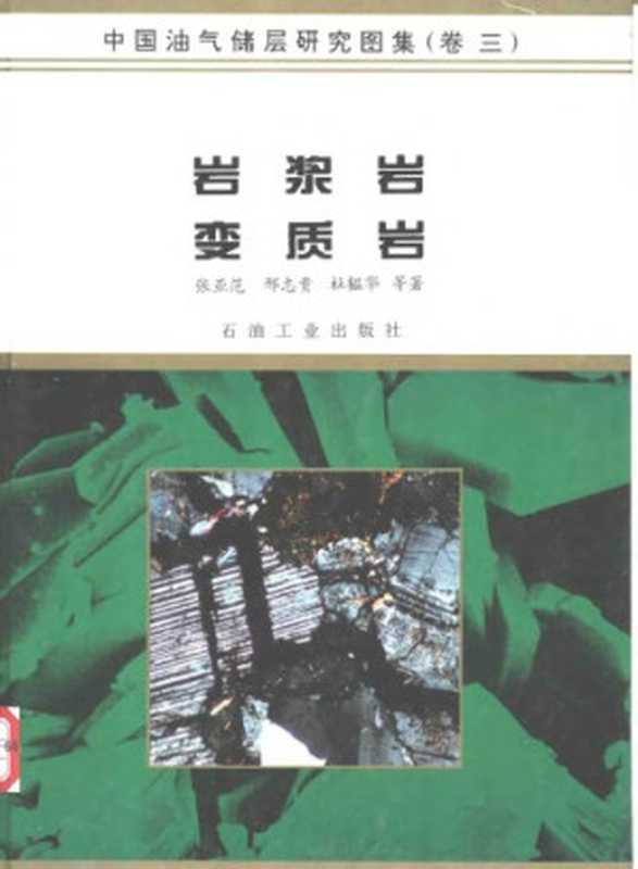 中国油气储层研究图集（第三卷）岩浆岩+变质岩Vol3（中国油气储层研究图集编委会）