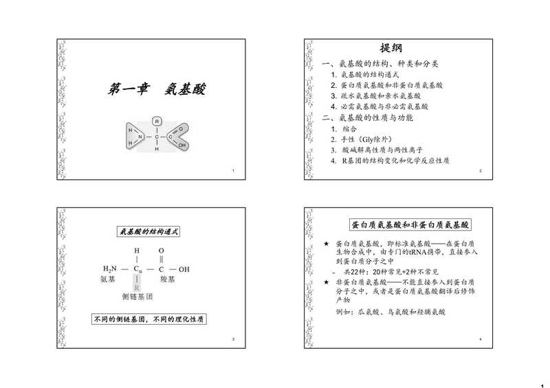 杨荣武-生物化学原理-结构生化PPT(杨荣武)